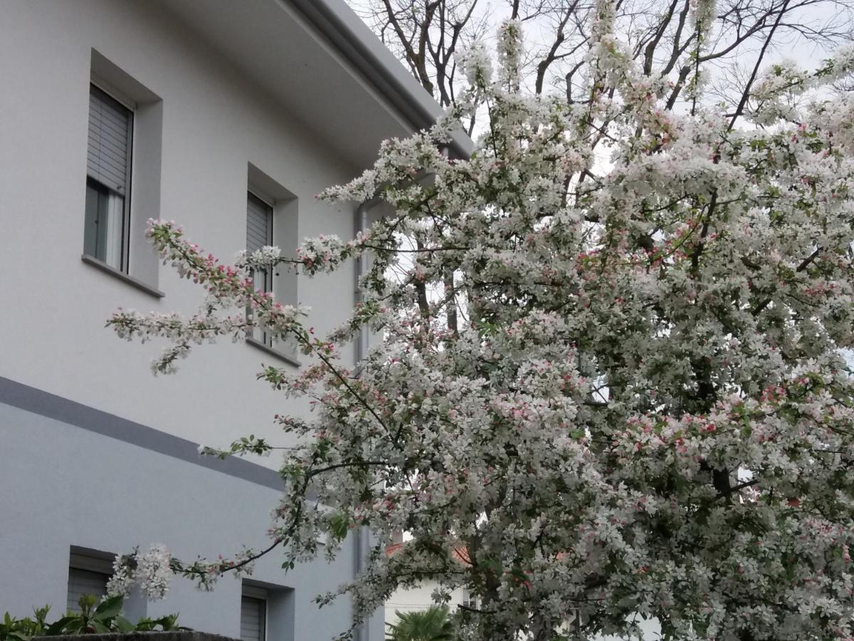 Civico 51 B&B Udine Kültér fotó